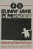 bunny lake is missing