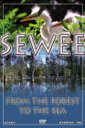 sewee: from the forest to the sea
